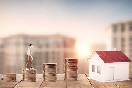 财经直播：猫菲特股票解析